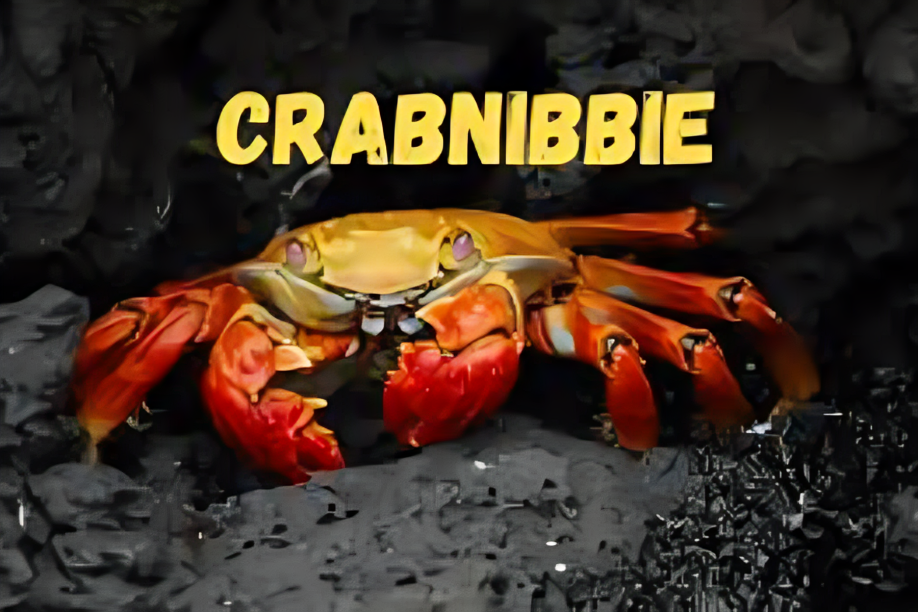 crabnibbie